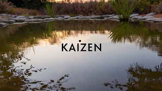 Achieving Big Results with Kaizen in Business