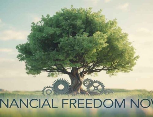 Financial Freedom Now: 13 Proven Secrets To Grow Your US Business