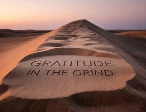 Gratitude in the Grind: Finding Light When Life Feels Heavy